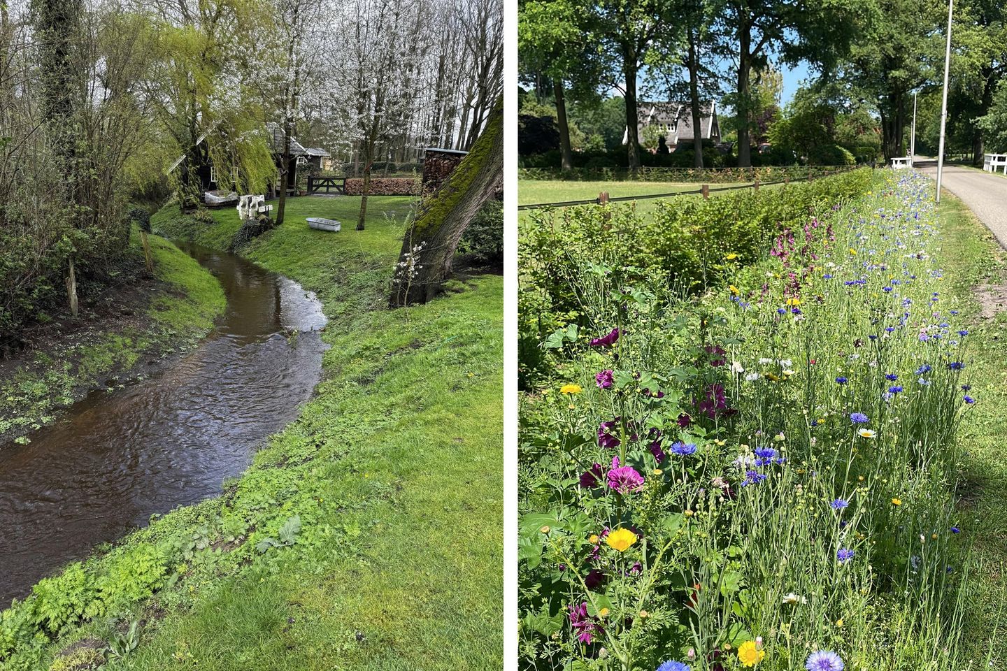 Foto 10 van Hofmanweg 2