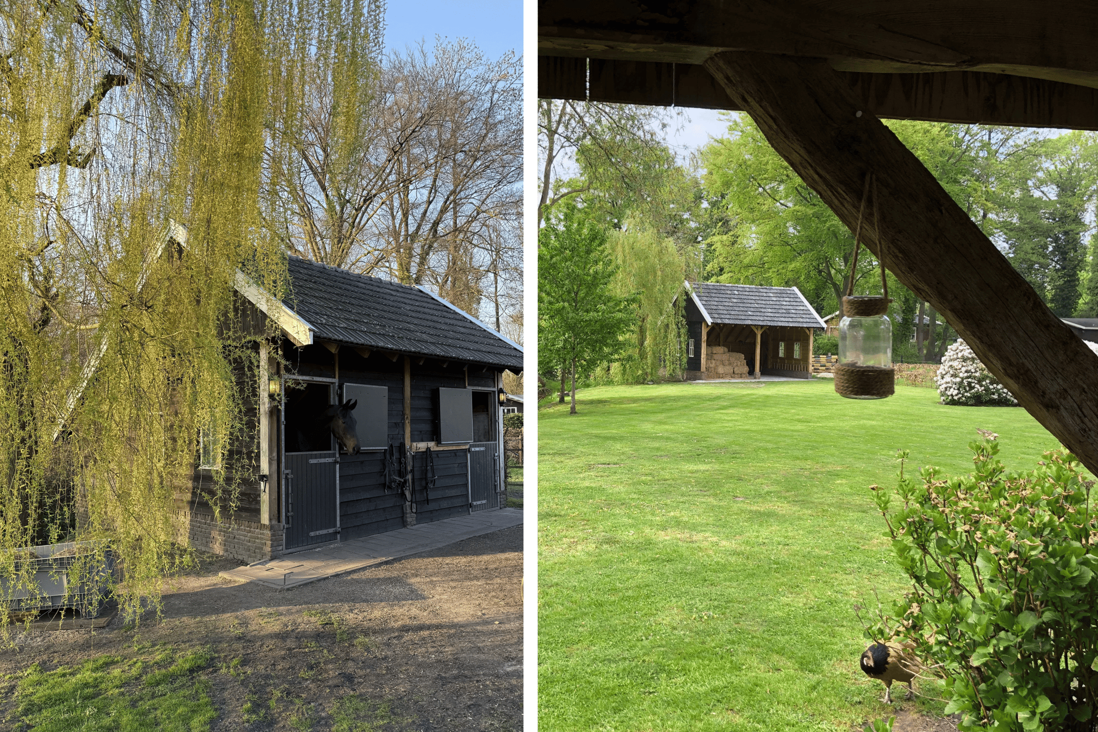 Foto 12 van Hofmanweg 2