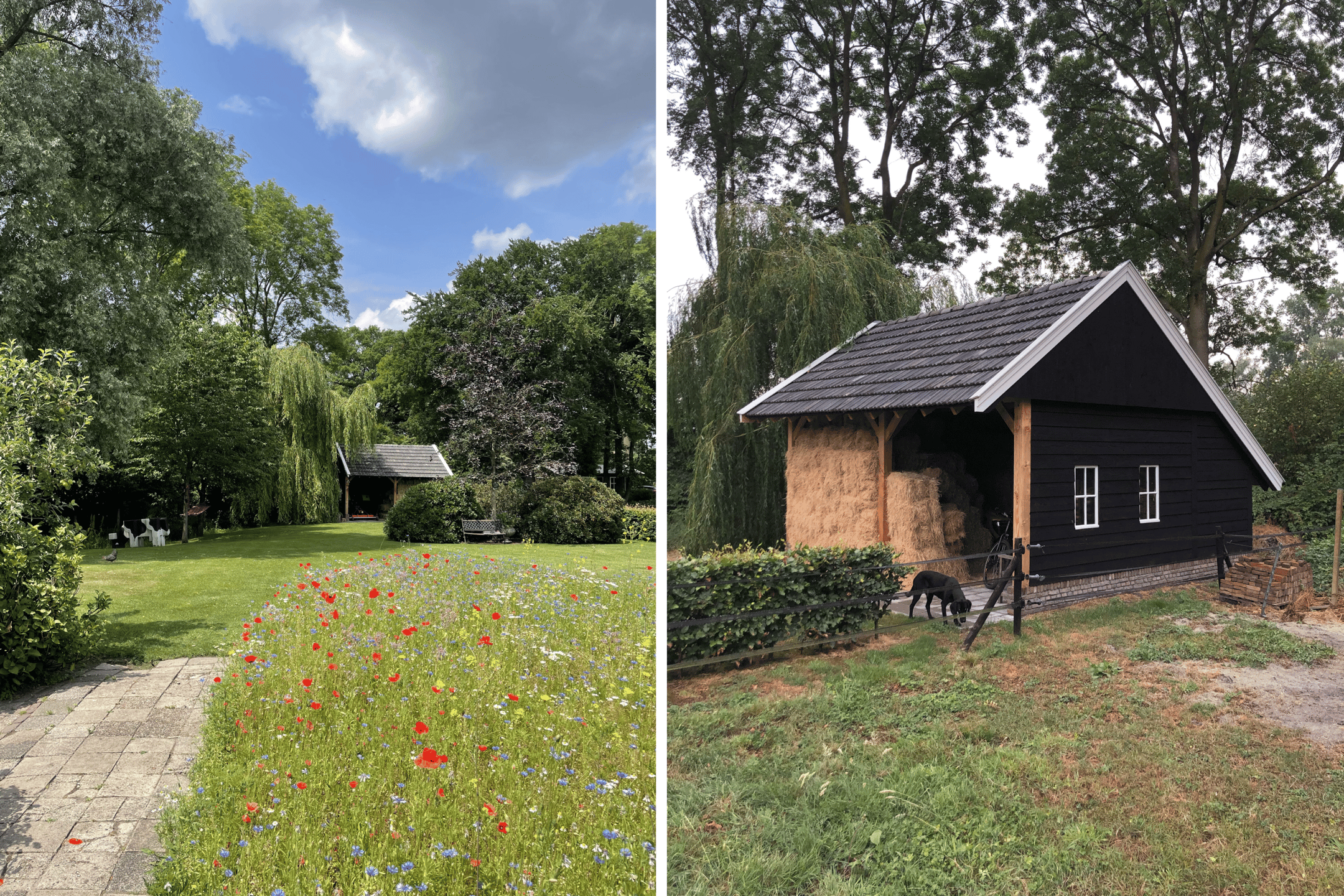 Foto 9 van Hofmanweg 2