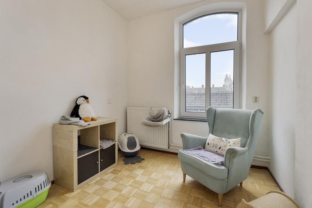 Foto 37 van Heilige Geeststraat 14