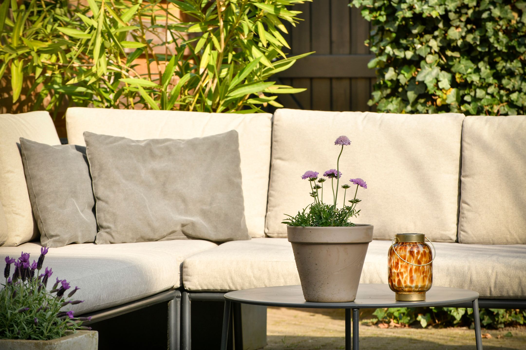 Photo 9 of Meerhuysen 6