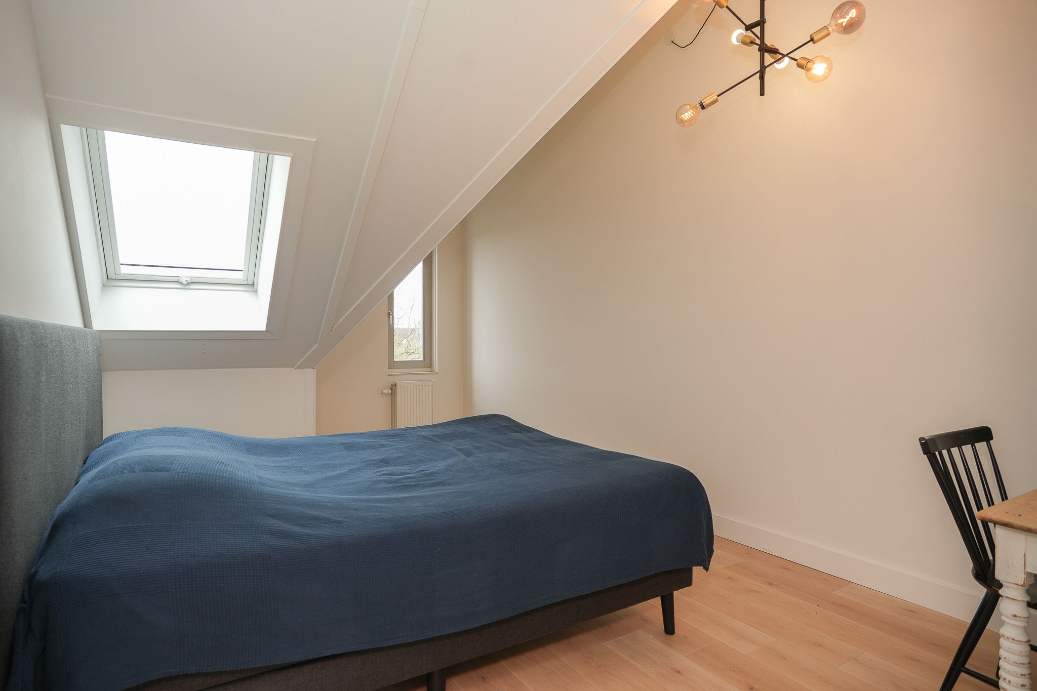 Foto 30 van Wilde rijstvliet 84