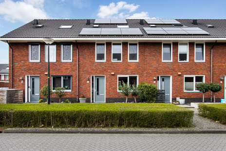 undefined main image