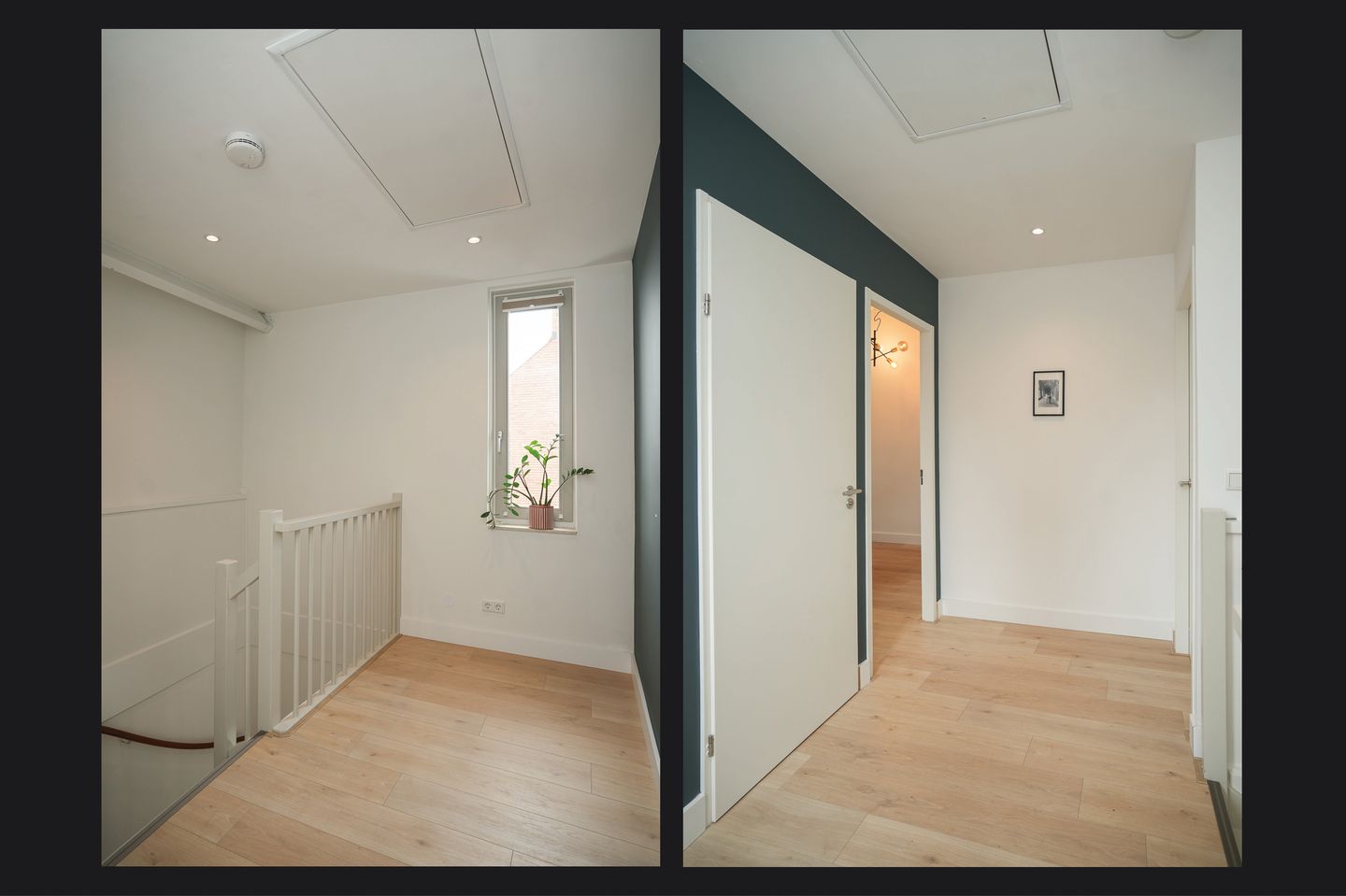 Foto 29 van Wilde rijstvliet 84