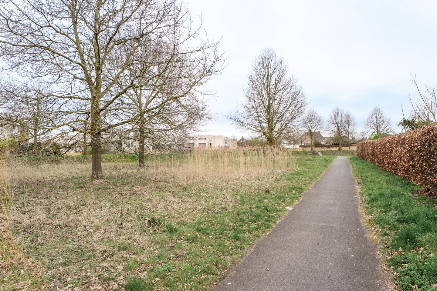 Foto 29 van Valkhofstraat 50-C