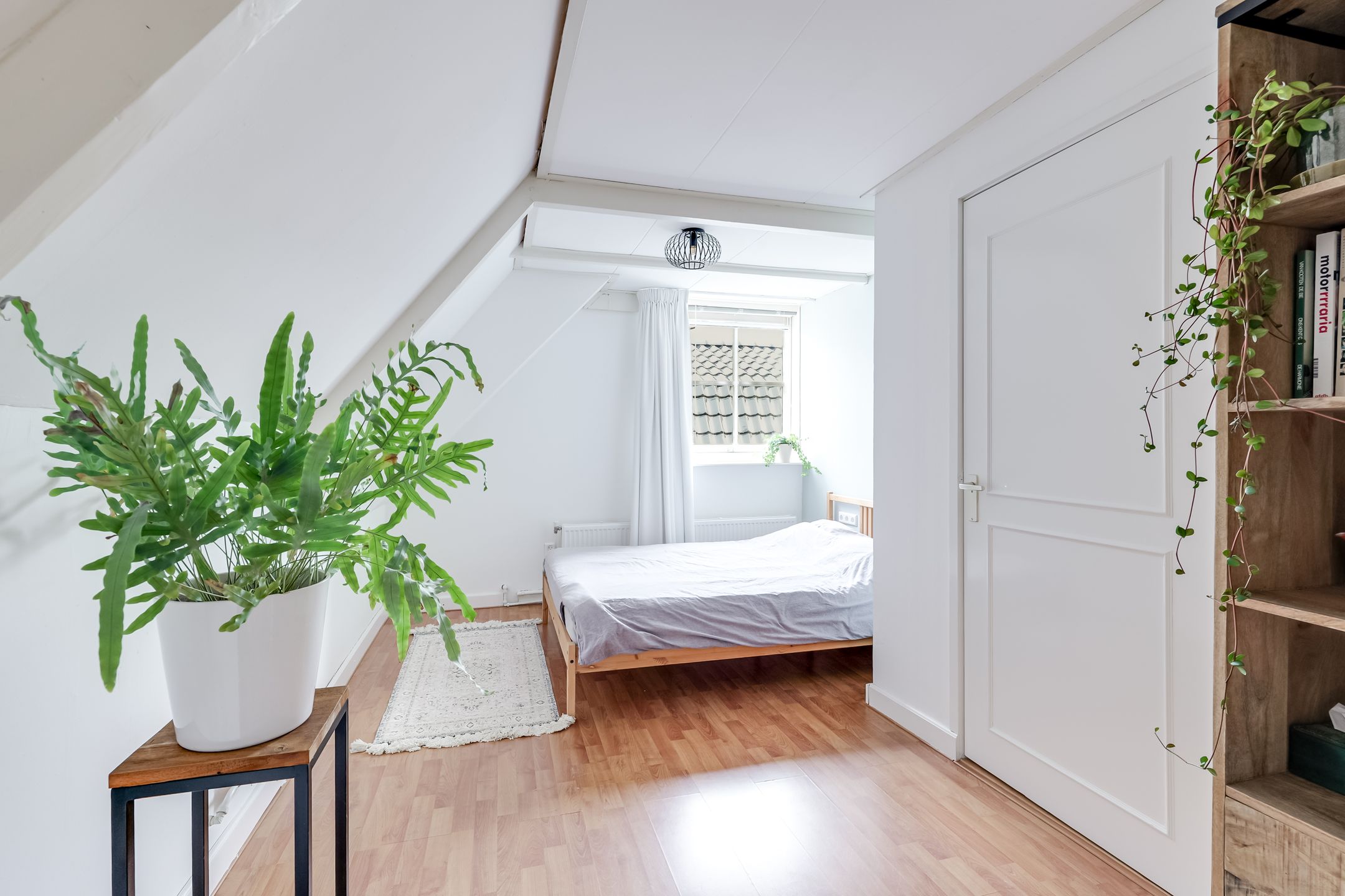 Photo 54 of Dorpsstraat 226