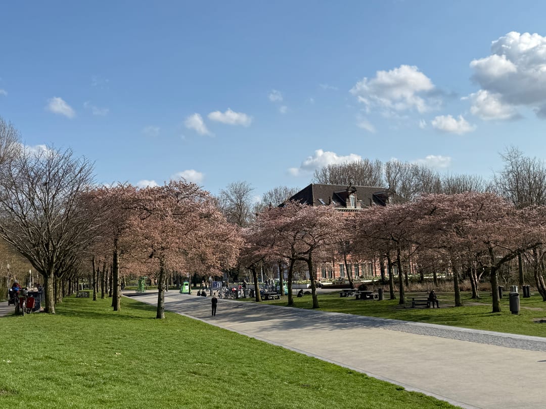 Foto 23 van Le Mairekade 177