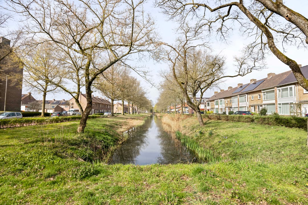 Foto 43 van Jan van Eyckgracht 173