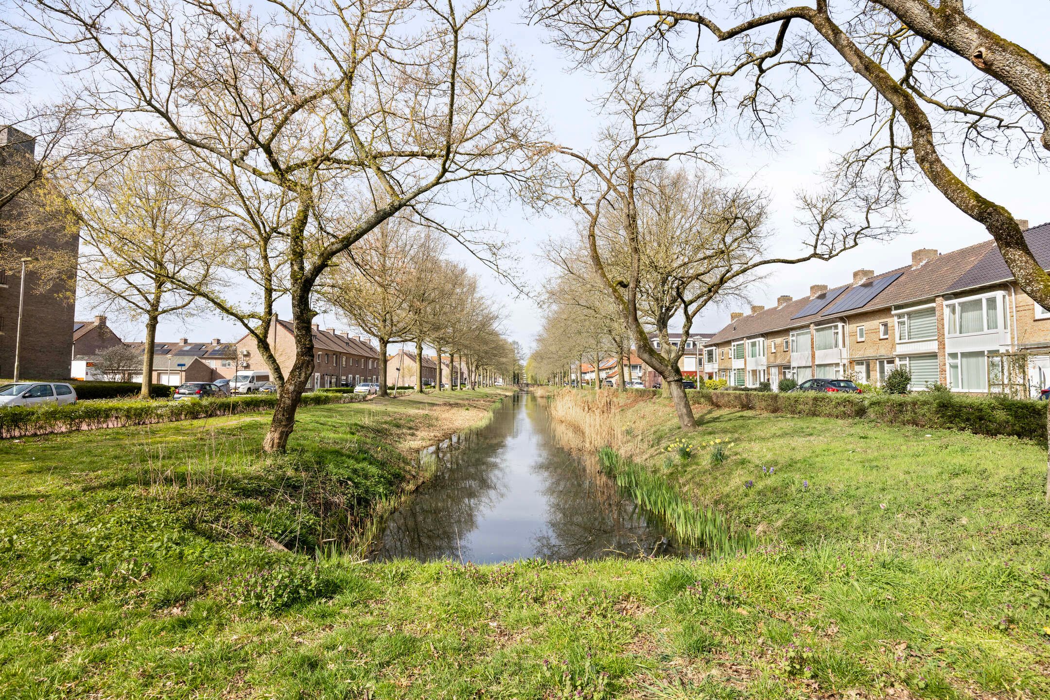 Foto 42 van Jan van Eyckgracht 173