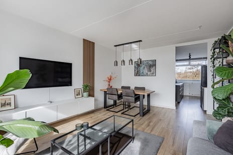 Tjaarda 24 secondary image