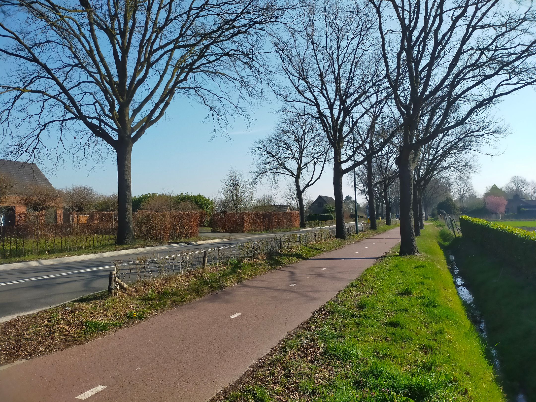 Foto 3 van Sprangweg 52-A