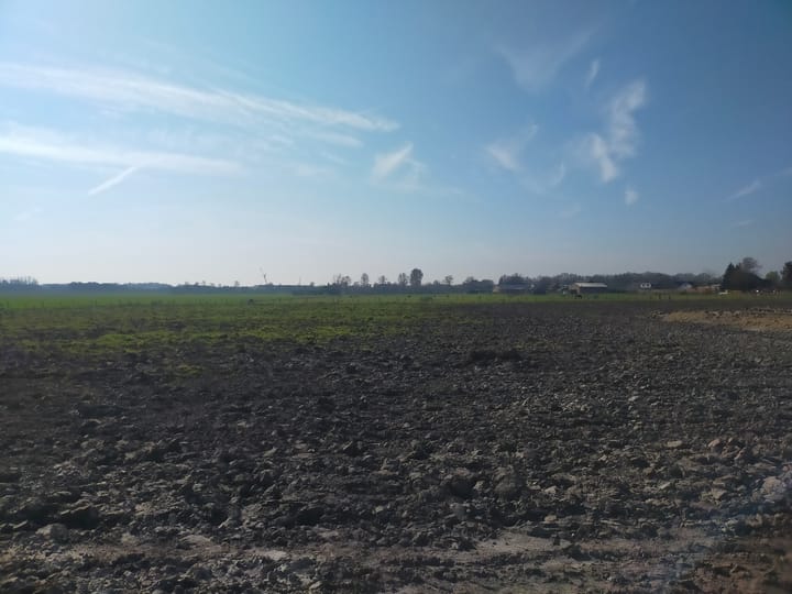 Foto 4 van Sprangweg 52-A