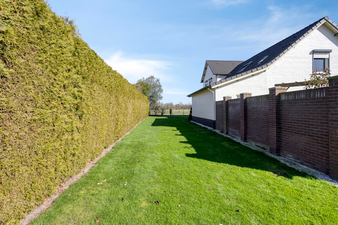 Foto 53 van De Maneschijn 4