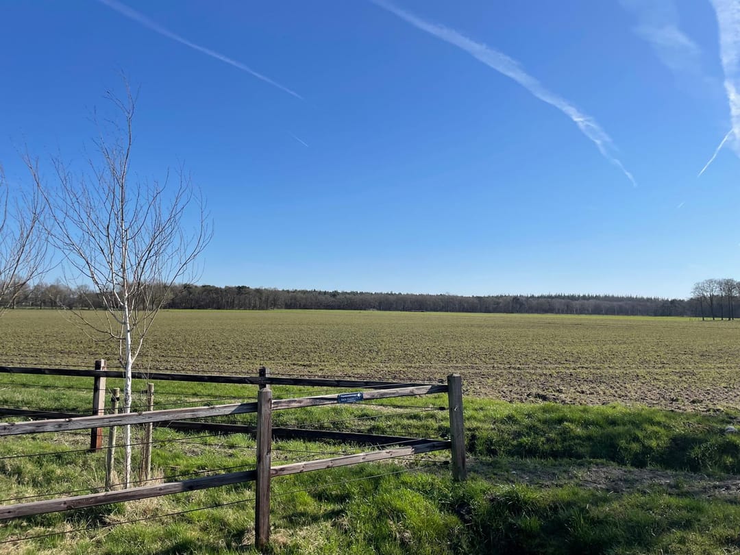 Foto 62 van De Maneschijn 4