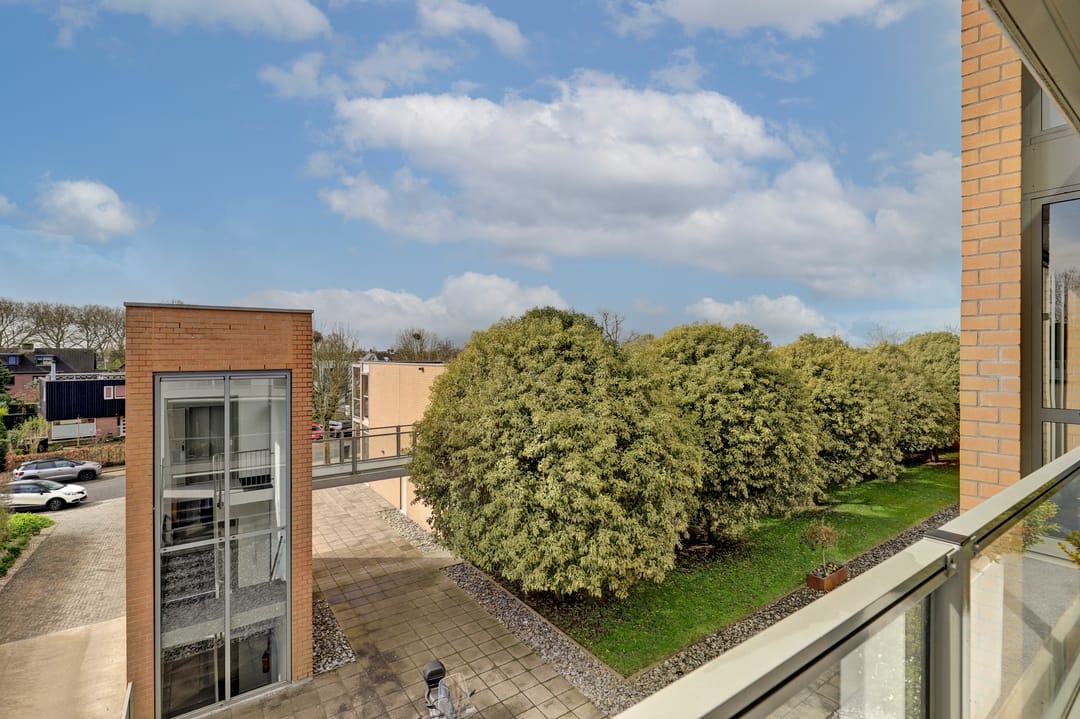 Photo 32 of Mecklenburg 13