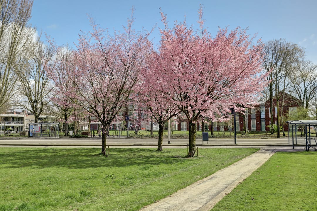 Photo 52 of Mecklenburg 13