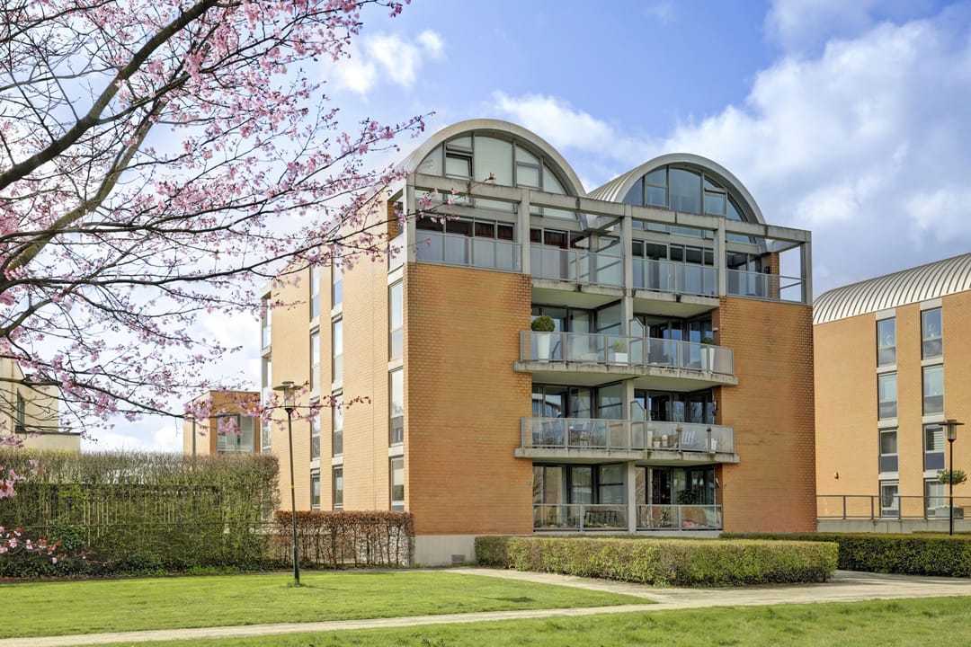 Photo 43 of Mecklenburg 13