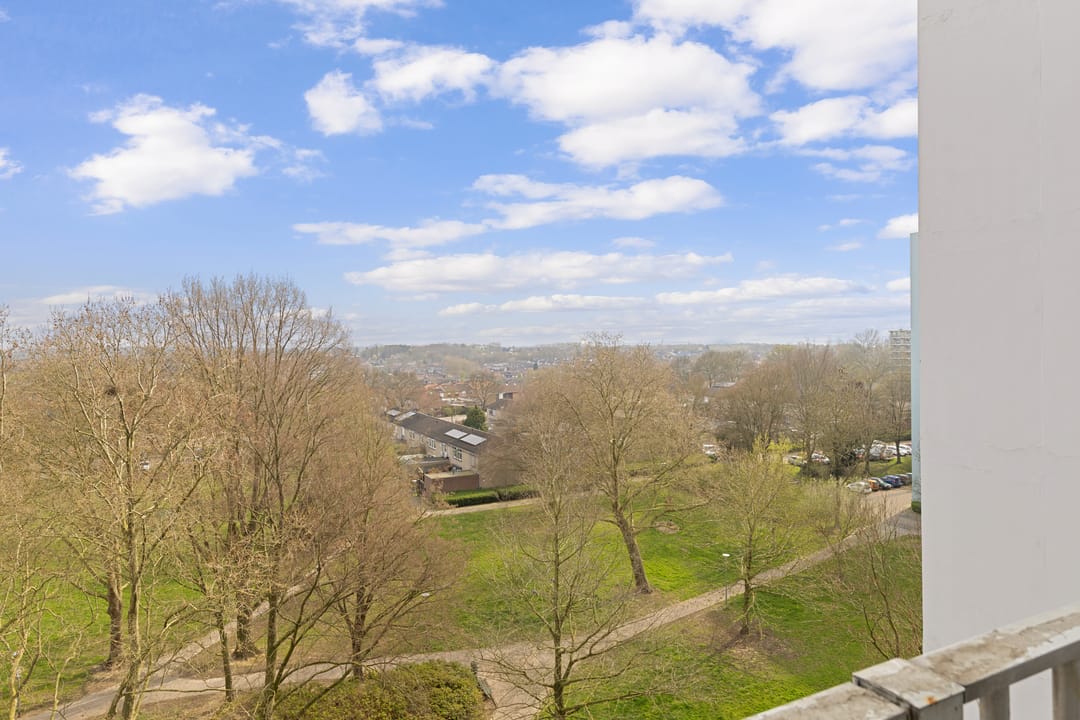 Foto 31 van Henri Dunantstraat 99