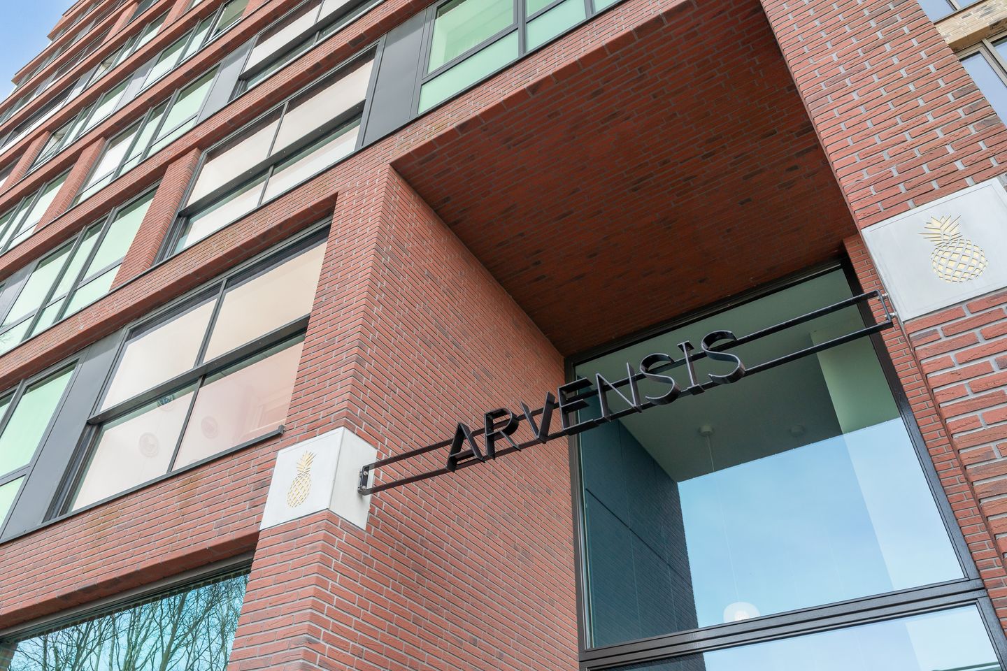 Foto 5 van Ananasweg 114