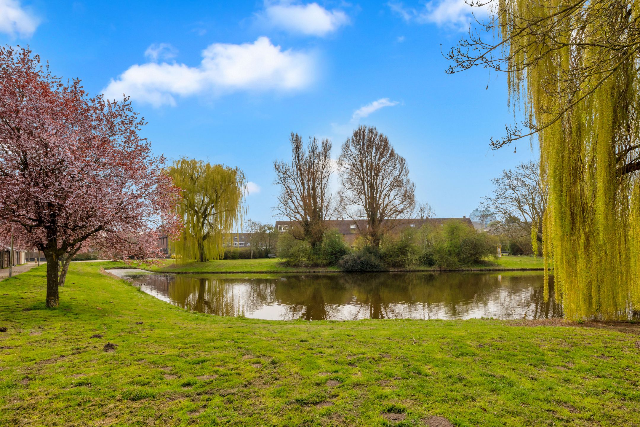 Foto 30 van Hackfortstraat 36