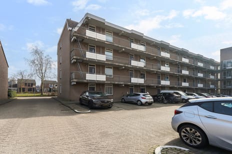 Majoraan 13 secondary image