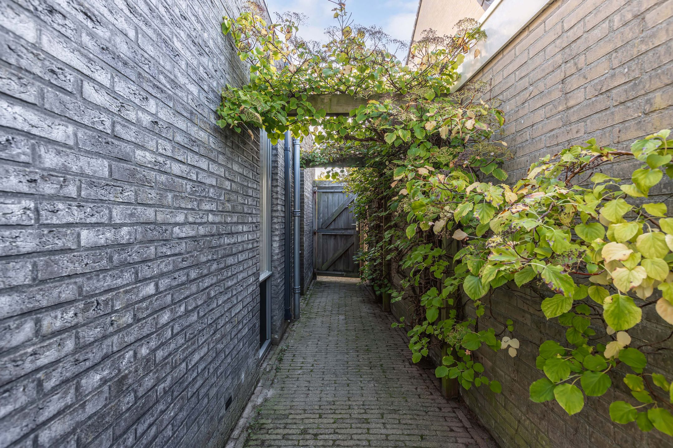 Foto 60 van Korenmolen 203