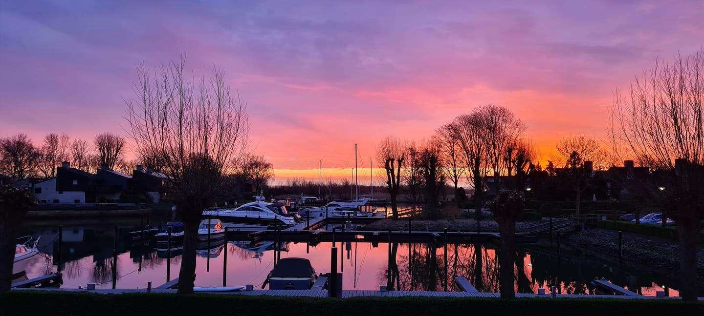 Photo 50 of Numansgors 135