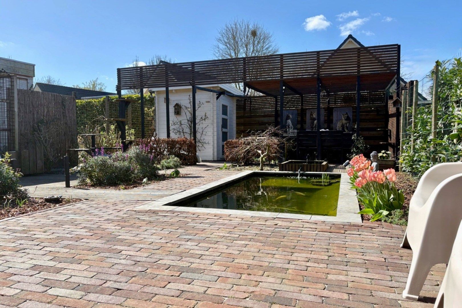 Foto 3 van Hazeleger 50