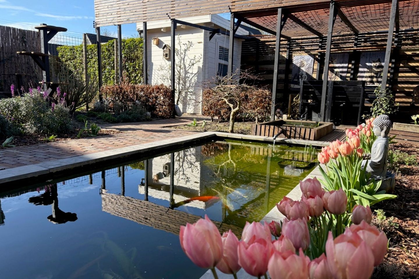 Foto 25 van Hazeleger 50