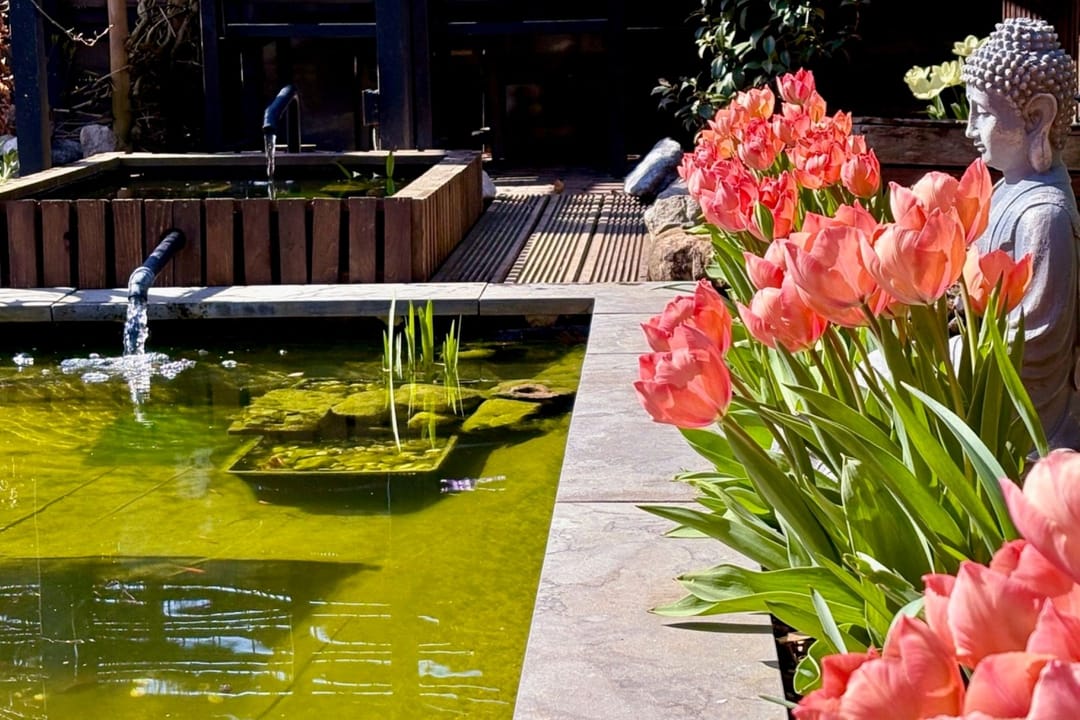 Foto 26 van Hazeleger 50