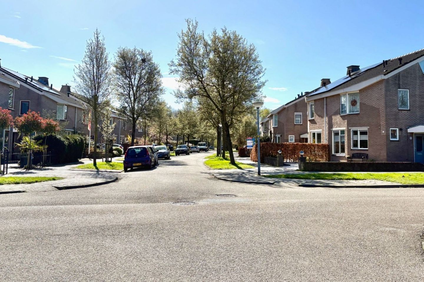 Foto 29 van Hazeleger 50