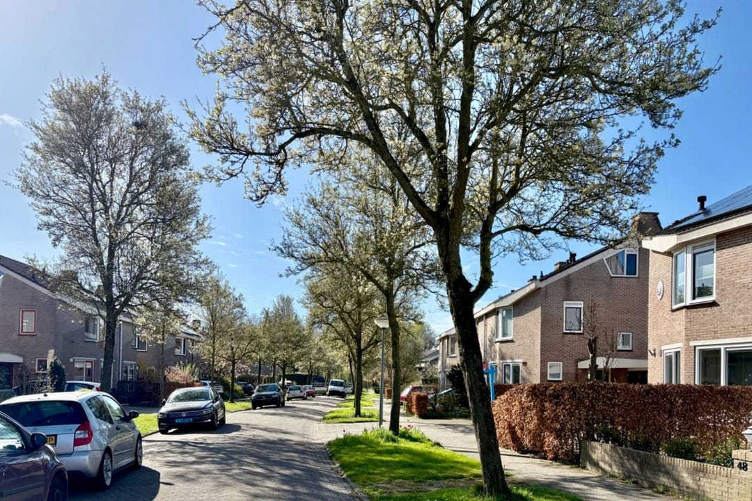 Foto 32 van Hazeleger 50