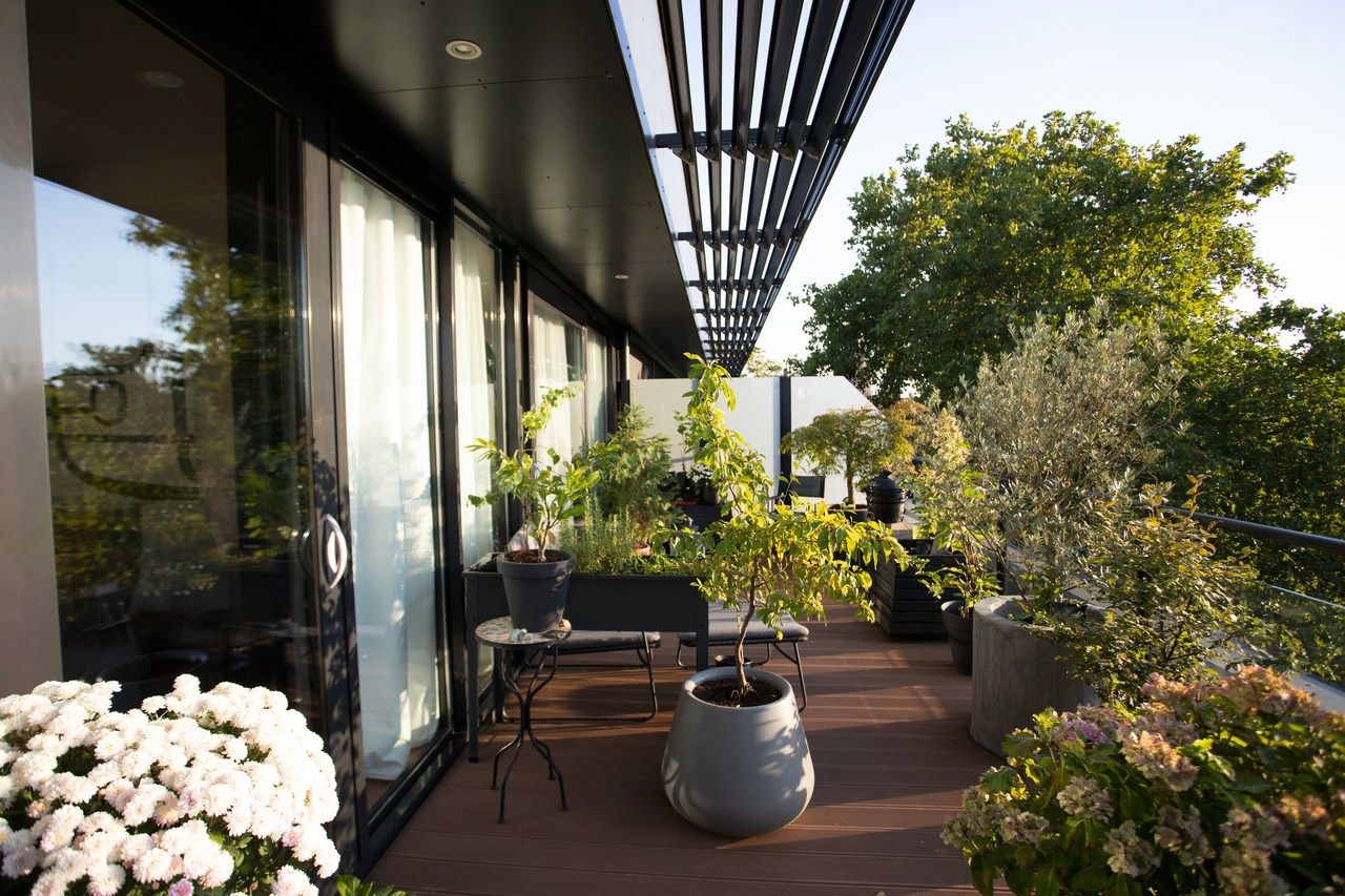 Foto 4 van de Veentjes 21-D