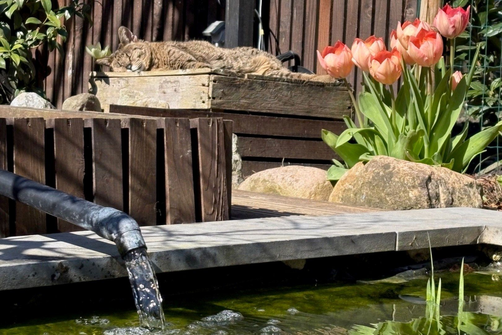 Foto 24 van Hazeleger 50