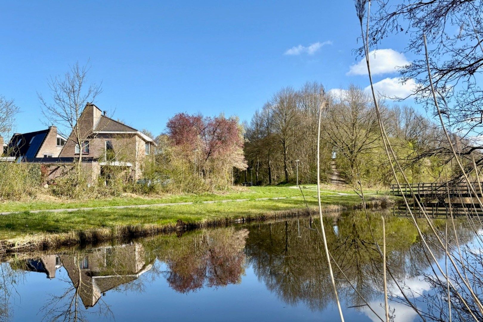 Foto 30 van Hazeleger 50