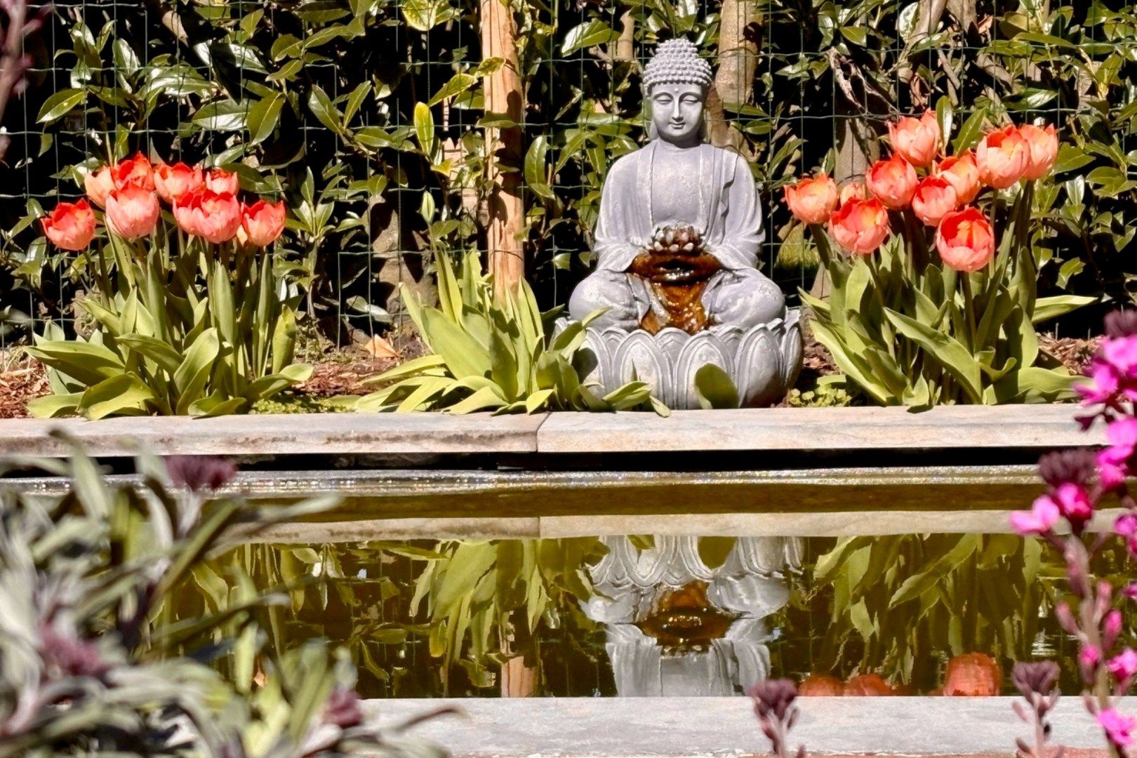 Foto 27 van Hazeleger 50