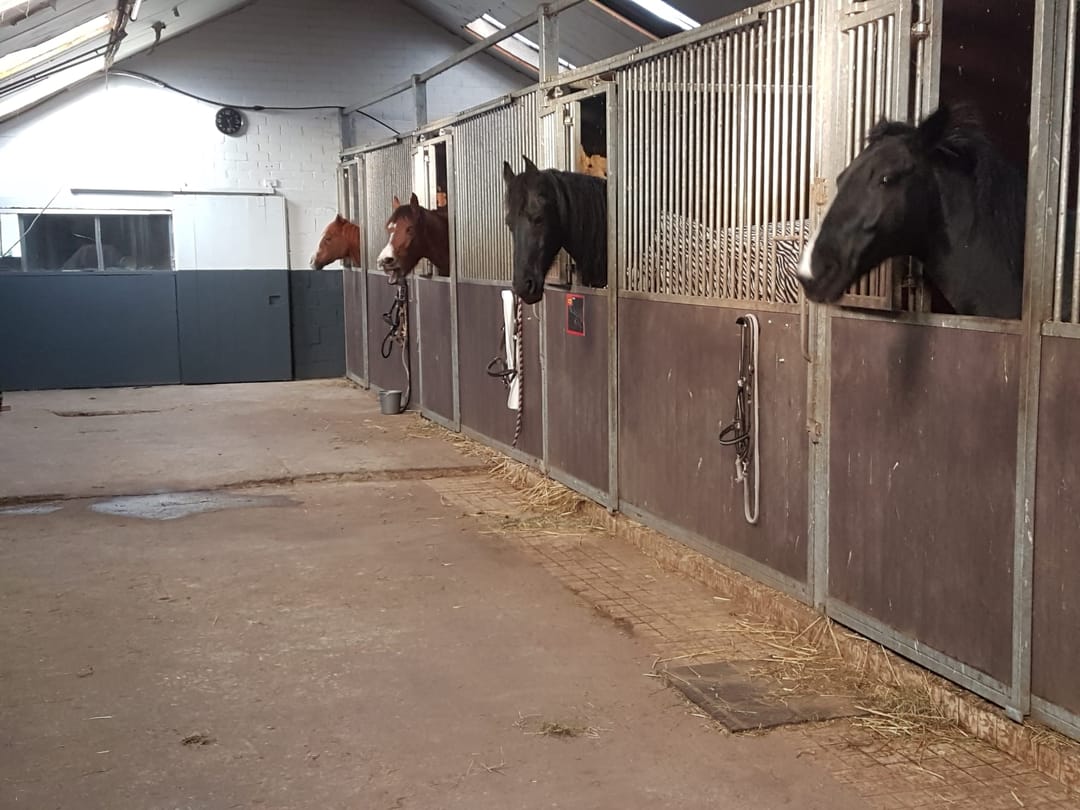 Foto 52 van Lactariaweg 30