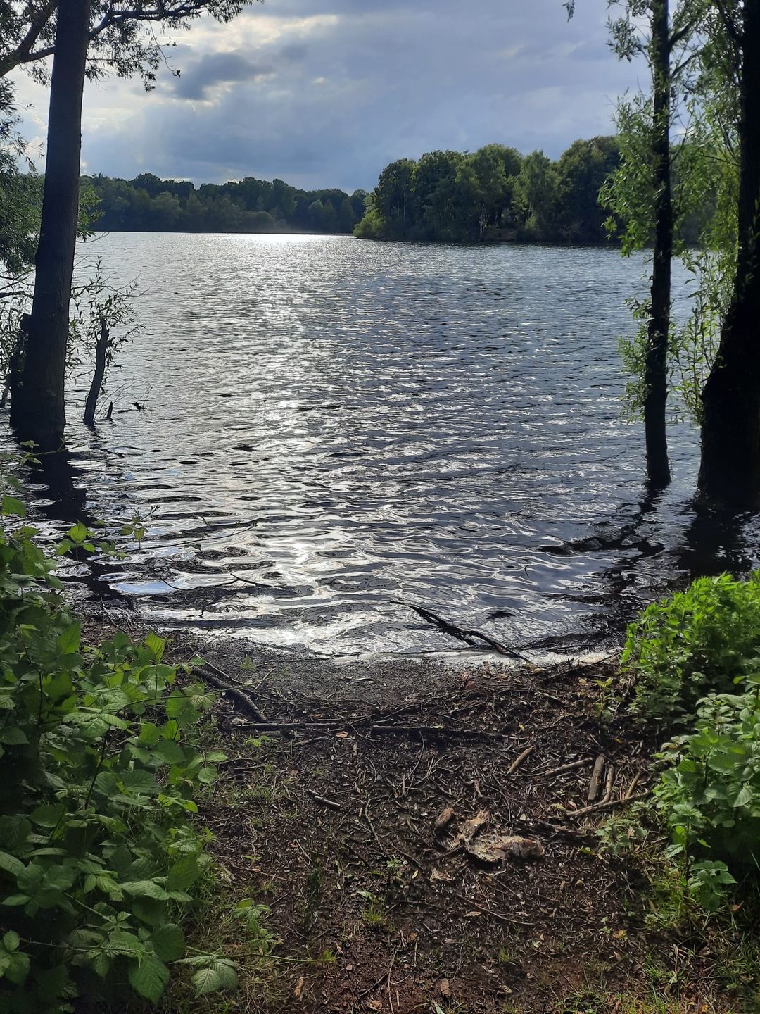 Foto 68 van Lactariaweg 30