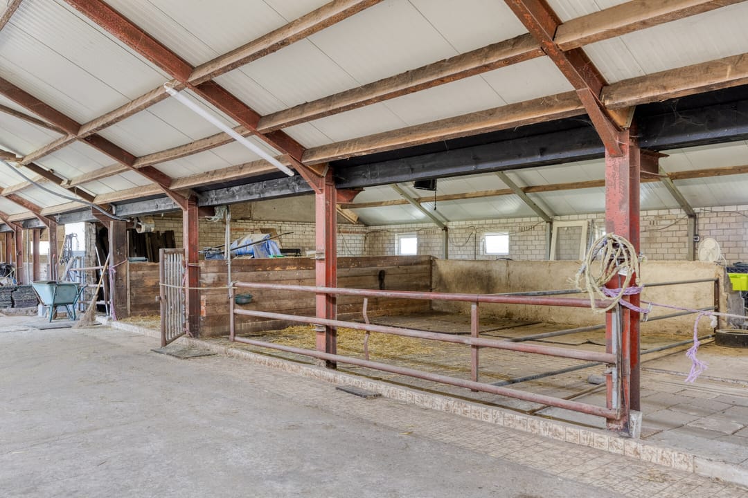 Foto 53 van Lactariaweg 30