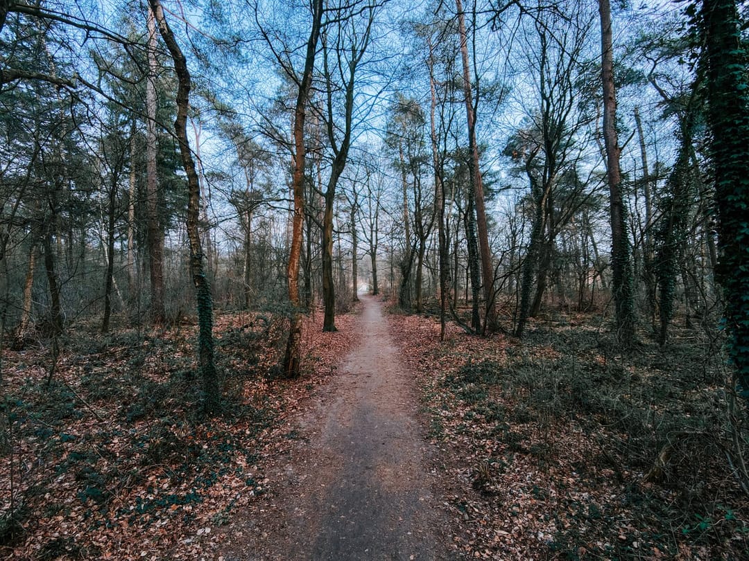 Foto 43 van de Veentjes 21-D