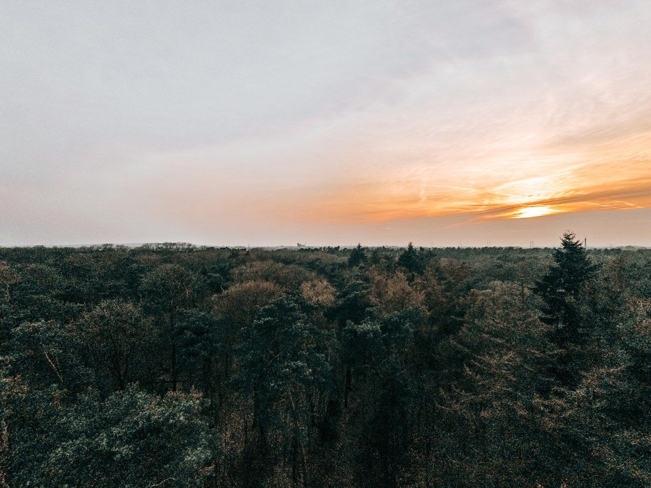 Foto 44 van de Veentjes 21-D