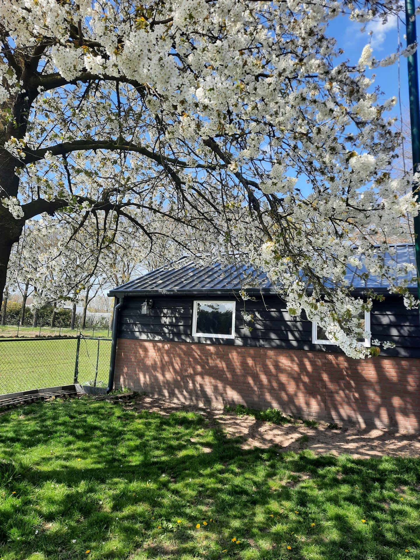 Foto 65 van Lactariaweg 30