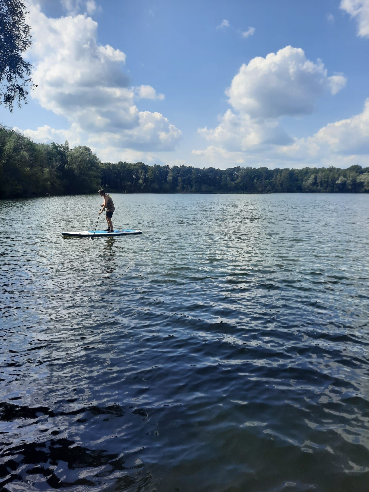 Foto 69 van Lactariaweg 30