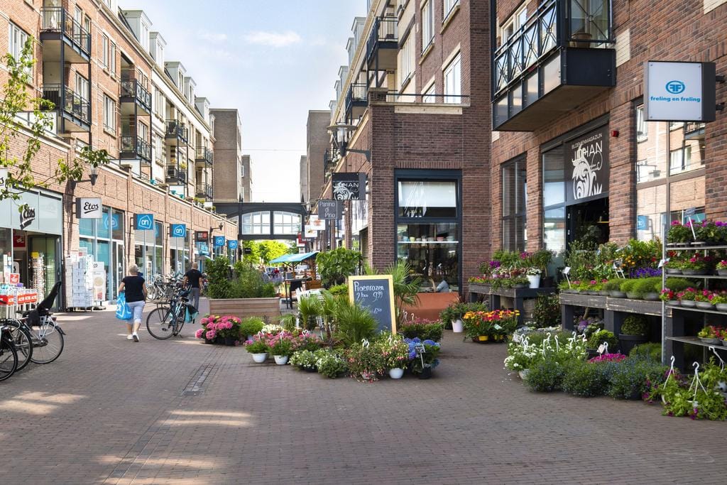 Foto 60 van Melkzwamsingel 10