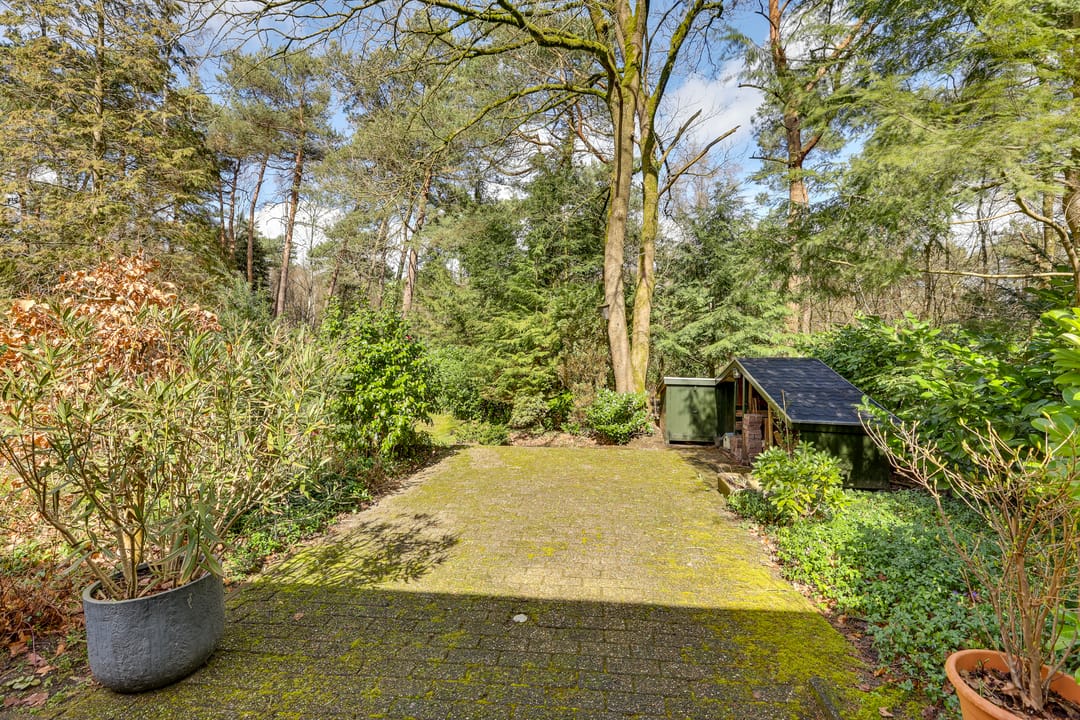 Foto 41 van Korhoenderweg 19