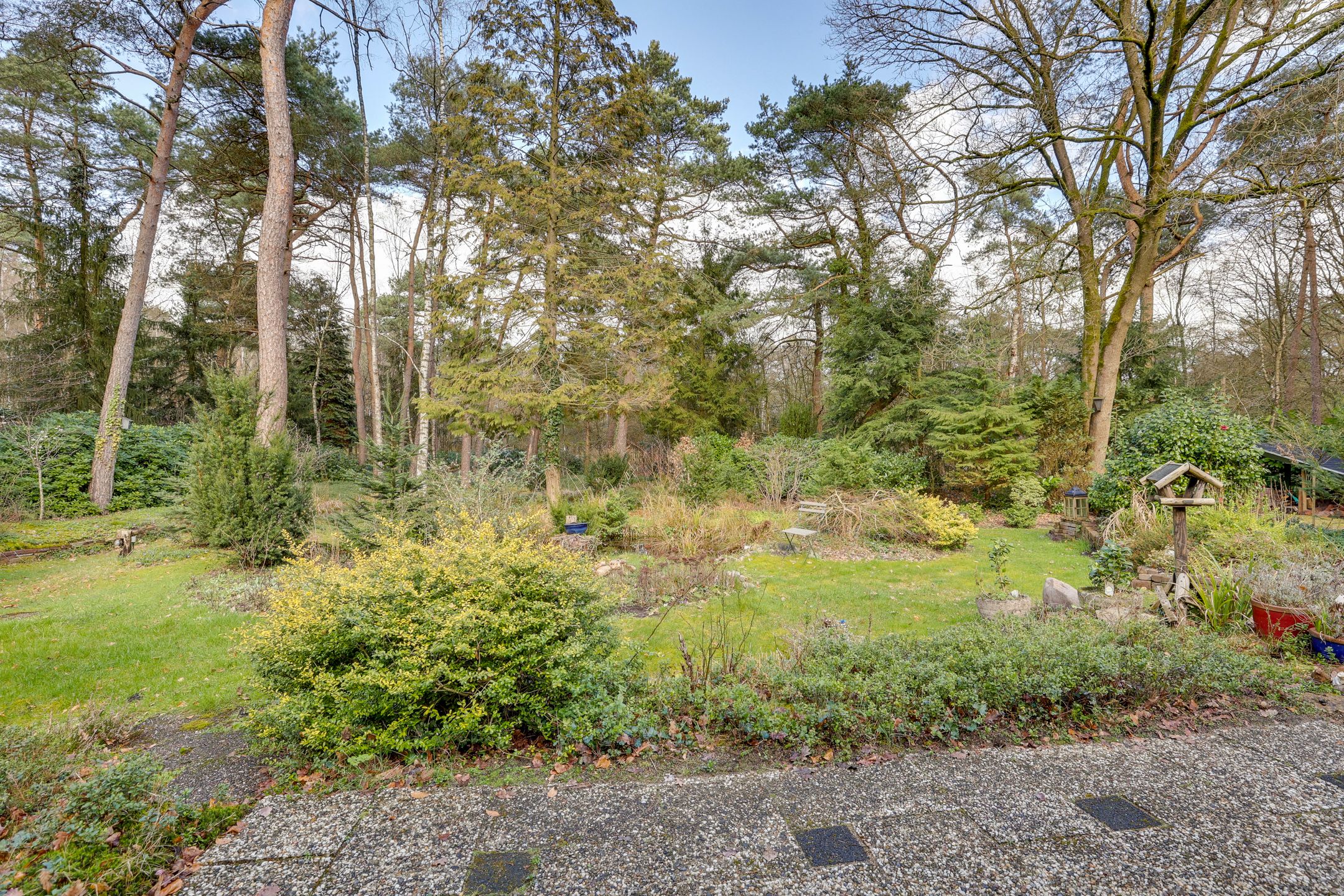 Foto 42 van Korhoenderweg 19