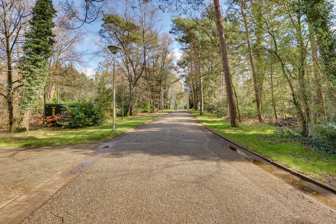 Foto 52 van Korhoenderweg 19