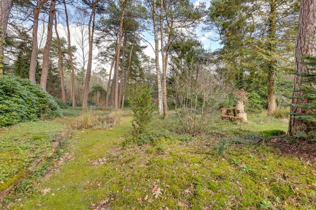 Foto 43 van Korhoenderweg 19