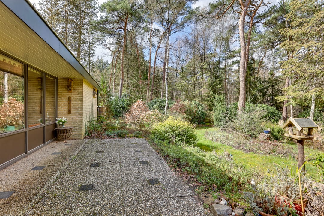 Foto 47 van Korhoenderweg 19