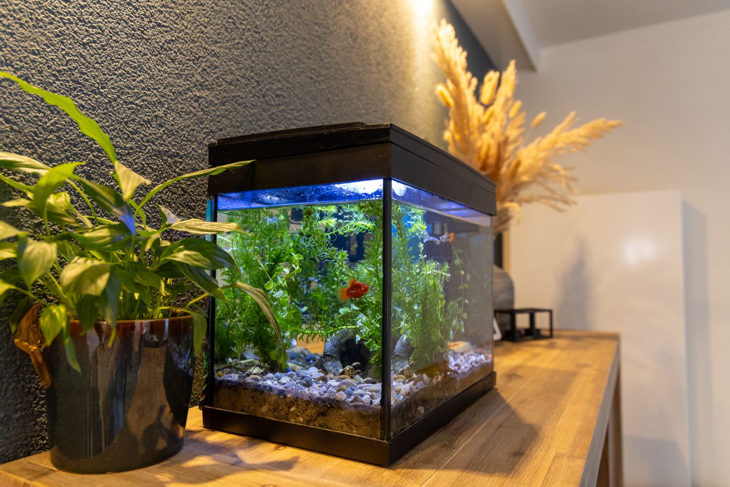 Foto 19 van Eekhoornhof 34